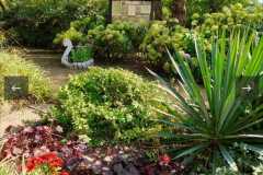 556386414_803748218714916_8045449137075030124_n