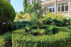 556613253_803748122048259_2739888154469691402_n