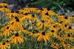 556950691_803748638714874_2177221865996381860_n