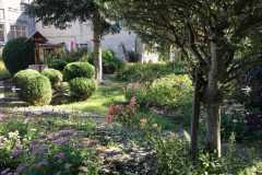 557327701_803748228714915_5945425491051526411_n