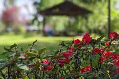 557624696_803748592048212_5993707847093986412_n