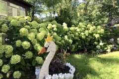 557626501_803748332048238_8506290803581941579_n