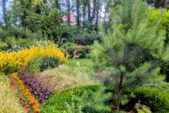 557723259_803748015381603_4475625810022291638_n