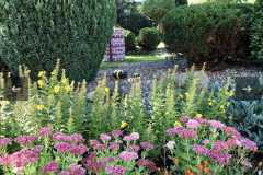 558445637_803748365381568_4631247054940641790_n