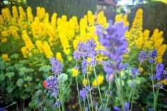 558985822_803748645381540_7655895628477673521_n