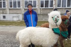 656155080_939934578429612_343609656330358782_n