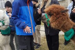 656231981_939934638429606_5344539572284386299_n