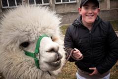 656366163_939933591763044_9119450032063522300_n