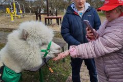 656814542_939934558429614_7433061159176864350_n