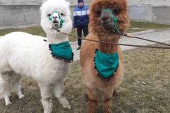 656832873_939932871763116_9081967198263369354_n