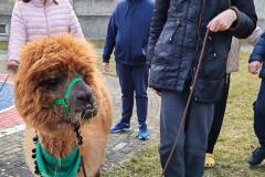 658152130_939933028429767_353851120961460450_n