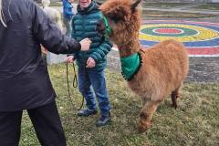 658376063_939933735096363_5694585440315466571_n