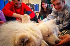 589857700_847820740974330_3197701448077319034_n