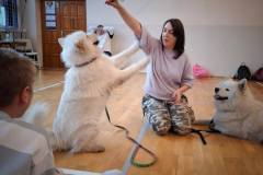 589893866_847821157640955_8363639162745365829_n