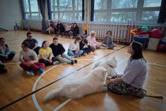 589904000_847821277640943_6771599235979243886_n