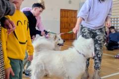 589933651_847822260974178_3964768295430501037_n