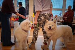 589960704_847820894307648_6884977212398791280_n