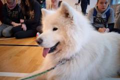 589966080_847821674307570_3216165146420932822_n