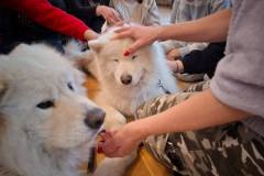 589975343_847821204307617_7407023516796711452_n