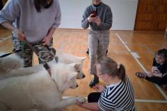 590005658_847821430974261_5955726250727329574_n