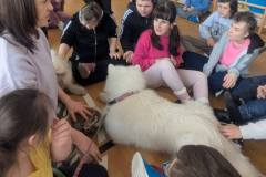 590008290_847821767640894_6361187230958219709_n