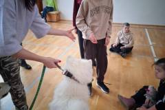 590021940_847821554307582_826783446351856360_n