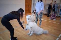 591747063_847821067640964_8985277668917912062_n