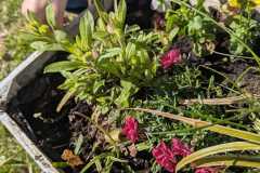 678781568_960004556422614_6346215687285191752_n