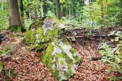 558307767_805590178530720_9040275133379854730_n