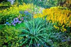 obraz_viber_2025-09-09_10-57-43-352