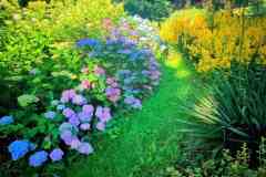 obraz_viber_2025-09-09_11-01-38-916