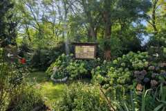 obraz_viber_2025-09-09_11-03-31-947