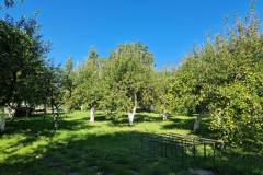 obraz_viber_2025-09-09_11-04-02-794