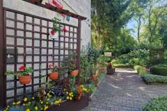 obraz_viber_2025-09-09_11-04-46-431