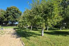 obraz_viber_2025-09-09_11-06-19-907