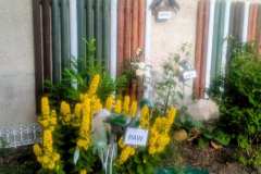 obraz_viber_2025-09-09_11-06-40-347