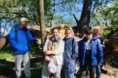 lesna-sobota050