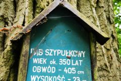 IMG_20260521_124135
