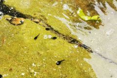 IMG_20260521_124909