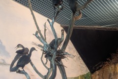 597562871_861637012926036_7637956374904234879_n