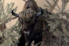 597927865_861637066259364_8597950542980216099_n