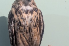 597955169_861637069592697_6192717928844683791_n