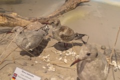 599927111_861636896259381_1280948385436017776_n