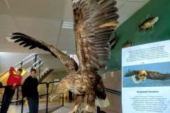 599945114_861636832926054_4927953672495291688_n