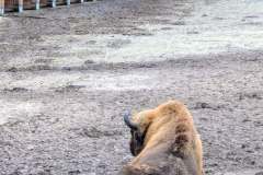 601381356_861637666259304_6844210986818994251_n