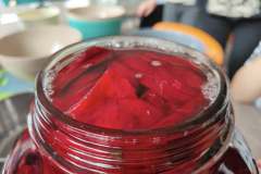 573863464_829159059507165_2599901028119349054_n