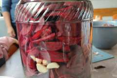 576967757_829158959507175_5337429999072490013_n