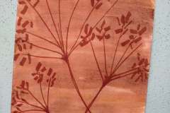 571282656_820821280340943_5413968073527264235_n